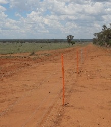 Dingo Feral Fence