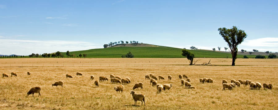 electric fence dreamstime agric 